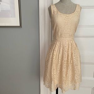 JCrew Factory Scalloped Lace Dress